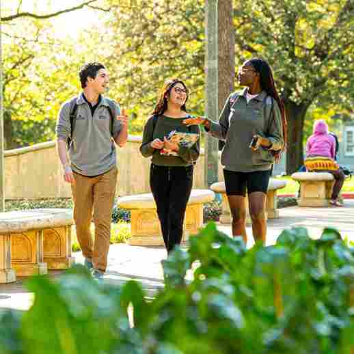 campus life at Christ University Bannerghatta Campus​